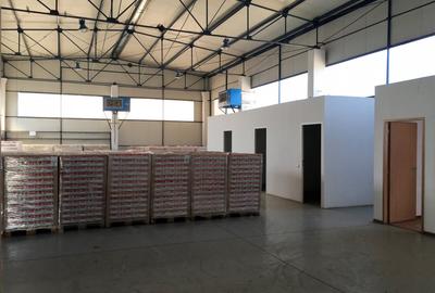 Hala microproductie sau eepozitare - 12