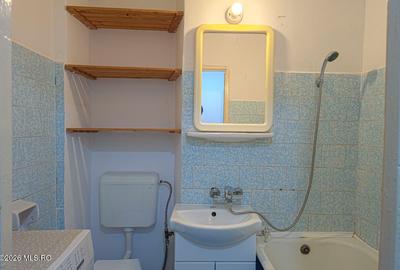 Sagului - Intrarea Raului - Apartament 2 Camere + Birou/Dormitor Mic - 16