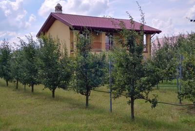 Casă / Vilă de lux cu 5 camere de vânzare în Vadu Moldovei, Suceava - 9