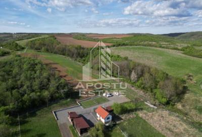 Casa de vacanta cu. teren 31.300  Nadas, 38 km de Timisoara. - 1