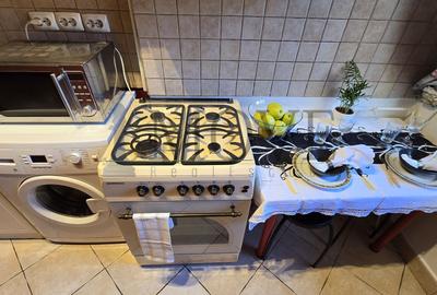 Apartament cochet cu 2 camere - Bulevardul NICOLAE BALCESCU - 21