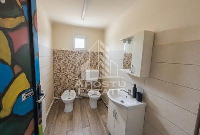 PLATFORMĂ INDUSTRIALĂ 3HA SILOZURI 50M ACCES CFR SÂNNICOLAU MARE - 11