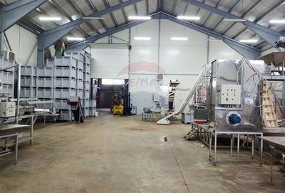 Spațiu industrial-depozit de 1120mp de închiriat în Dumbrăveni, SV - 20