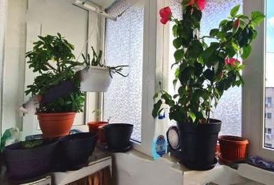 Apartament 4 Camere,13 Septembrie,bl.1988,DECOMANDAT,Amenajat,boiler,2 bai - 10