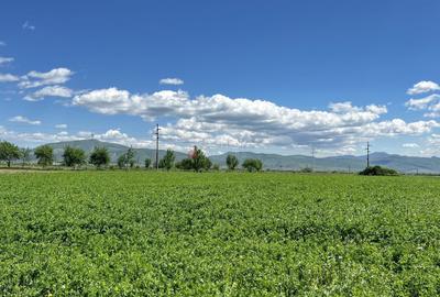 Teren intravilan Zona Metropolitana Brasov - 8