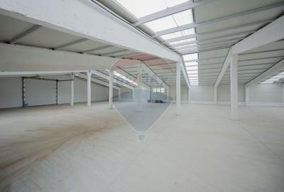 De închiriat -2 hale industriale, 5.050 mp utili, Palota , acces TIR - 9