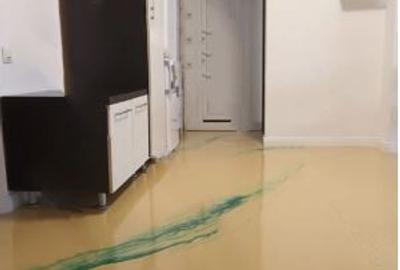 Apartament 2 Camere,Vitan,Prosper,bl.1988,DECOMANDAT,Amenajat,centrala,Liber - 4