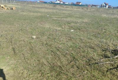 Teren Intravilan comuna Osorhei Bihor. - 6