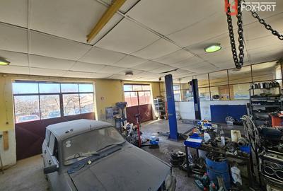 Oportunitate afacere: Spatiu industrial + Casa de locuit - Bogdanestilor - 26