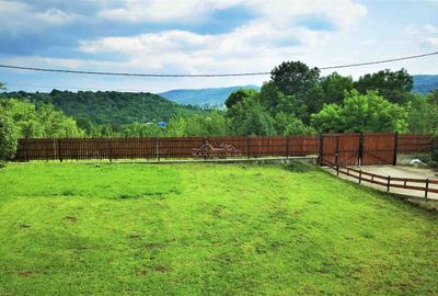 Manuel recomanda : Vila superba in Cornu de Jos 295mp , teren 1360mp - 16