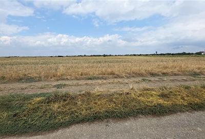 Oferta unica teren industrial 22.500 m Magurele Centura  Bucuresti - 3
