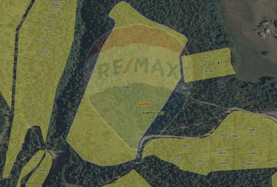 Teren extravilan parcelabil Călățele Pădure, zona Dealu Negru - 19