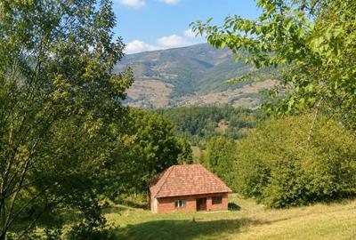 Casă de vacanță Bulz - 5