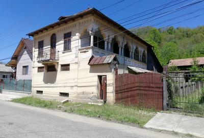 BEZDEAD - Conac 350 mp + 4800 mp teren - 1