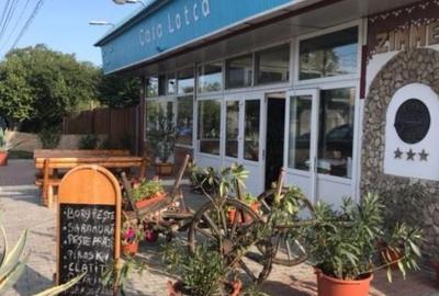 Pensiunea Lotca o pensiune de vis! - 1