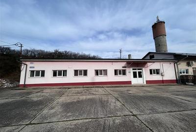 Hala industriala de vanzare in Marghita – 650 mp hala + birouri 200 mp, teren 34 - 38