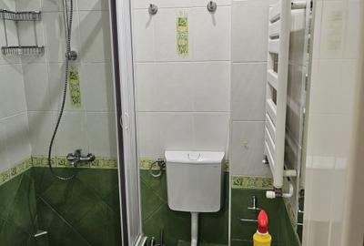 Inchiriere garsoniera zona P-ta Victoriei - Dorobanti - 6