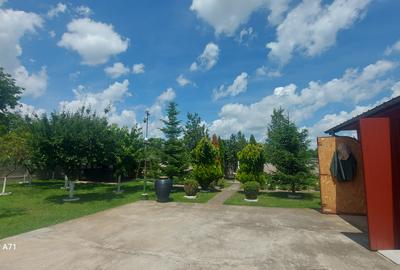 Snagov- Gruiu- Santul Floresti -Proprietate cu stil pentru oameni gospodari! - 37