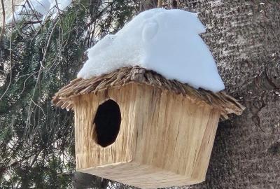 Apartament superb in vila zona Matei Basarab - 10