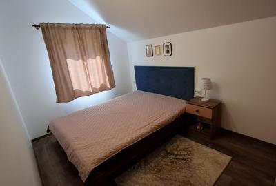 Casa de Vacanta Lepsa - 8