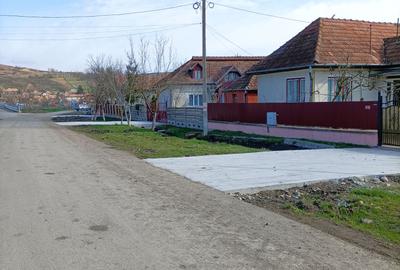 Vanzare teren intravilan parcelabil, in localitatea Rascruci - 3