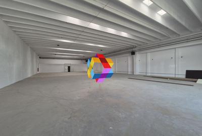 Spatiu comercial - 500 mp - 1