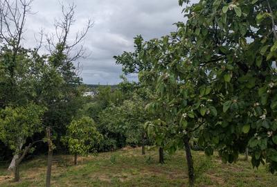 Casă de vânzare, Mihai Bravu, Giurgiu, locuinta permanenta sau casa de vacanta - 11