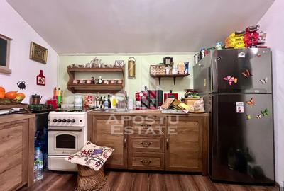 Casa cu 6 camere, pe doua nivele, zona Lipovei, Timisoara - 17