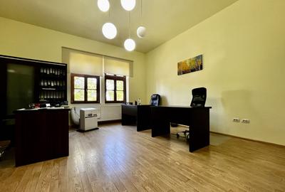 Apartament pretabil birou sau investiție, Central - Take Ionescu - 4