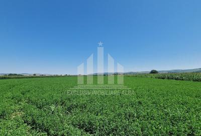 Teren intravilan | 17300 mp | 20 de parcele | Soseaua de Centura - 2