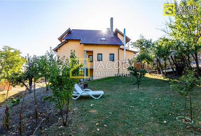 Casă individuală cu 7 camere în Luizi-Călugăra