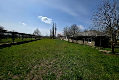 Spațiu industrial de 400mp de vânzare - 8