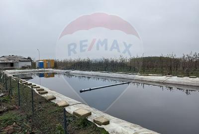 Ferma agro-industrială – 43 ha Adunații Copaceni - 16