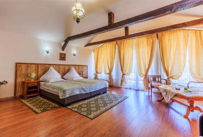 Hotel Bielmann,unicitate si profitabilitate optima in turism,Sanpetru, Brasov - 3