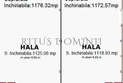 Hala Industriala de Inchiriat, Arad-Nord, Acces Tir, 1170-2340m2 - 8
