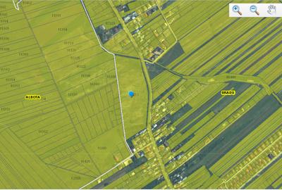 Teren intravilan 33.496 mp, Com. Bradu (fosta Com. Albota), Arges - 6