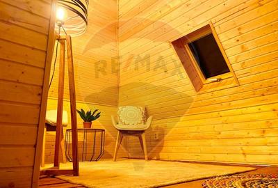 Casă de vacanță deosebită cu ciubăr si saună - natura si relaxare - 35