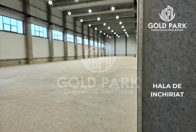Spatiu Industrial -Zona Autostrazii A3 -10.000 mp Hala Depozitare - 1