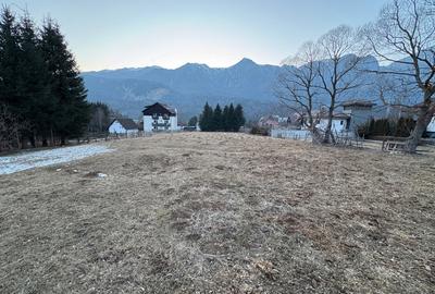 Intravilan 2600 mp - Asfalt - Canal - Apa - Curent - Priveliște superba - 3