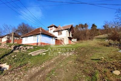 Casa 330 mp + teren 777 mp Sebis 9 camere ,vedere panoramica - 1