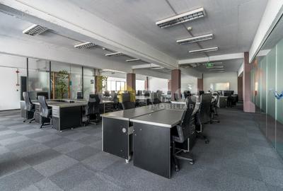 Spațiu de birouri de închiriat | SU 2,990mp | Zona centrală - 17