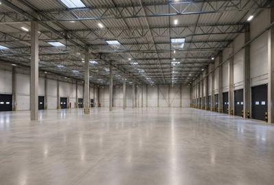 REC3001801 Hala Industriala Premium De Vanzare l Balotesti - 5