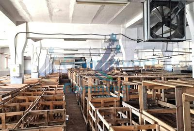 Hala de vanzare Productie Depozitare Calea Clujului Oradea - 2