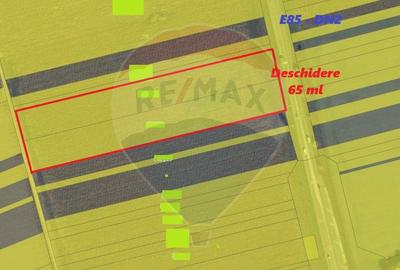 Teren intravilan 18.000 mp Nord Roman la E85 - 4