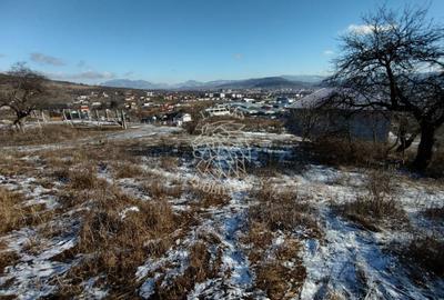 Teren intravilan 1425 mp-pretabil casa P+2E-Zona Drumul Tarpiului - 5