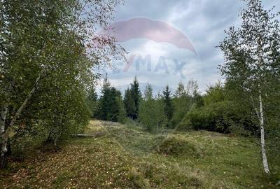 Teren extravilan parcelabil Călățele Pădure, zona Dealu Negru - 2