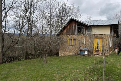 Teren intravilan 1518 mp, constructie, Sotrile, Prahova - 24 EUR/mp - 3