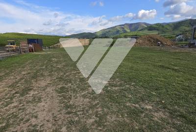Teren 4.316  mp intravilan Tocile – investiție dezvoltare imobiliară - 2
