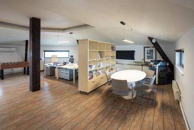 DOMENII-SPATII GENEROASE-DISPONIBIL IMEDIAT - 8