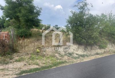 Teren Intravilan Constructrii 2258mp - Gadalin - 1